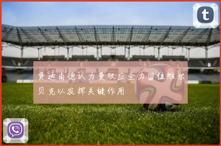 费迪南德认为曼联应全力留住维尔贝克以发挥关键作用